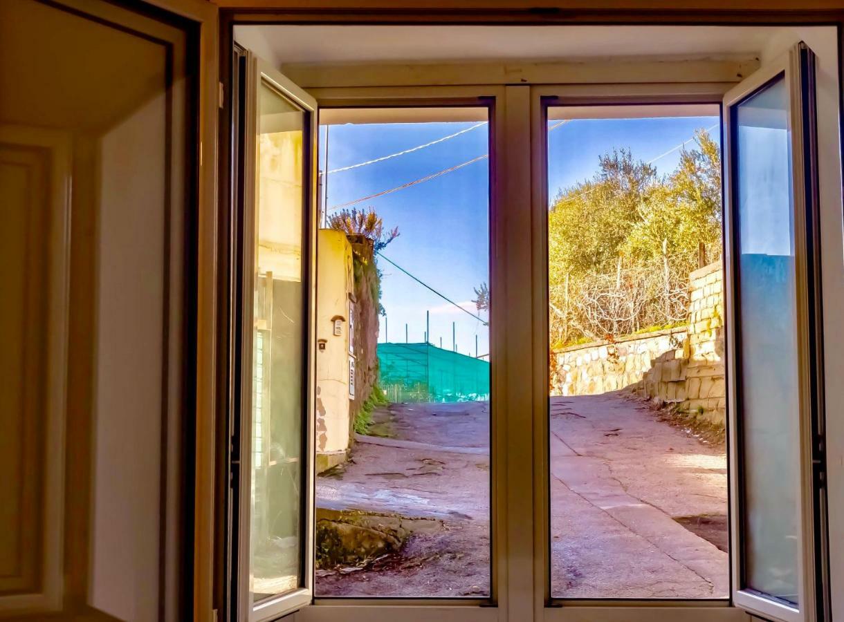 Appartamento Casa Isetta Massa Lubrense Esterno foto